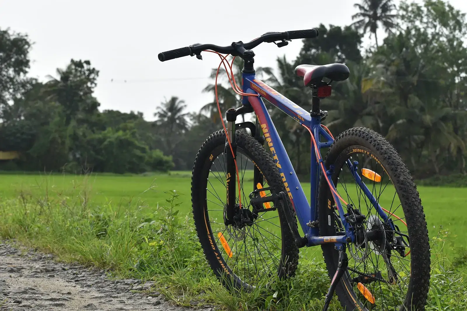 A bicycle parked on the grass beside a paddy field in Alappuzha