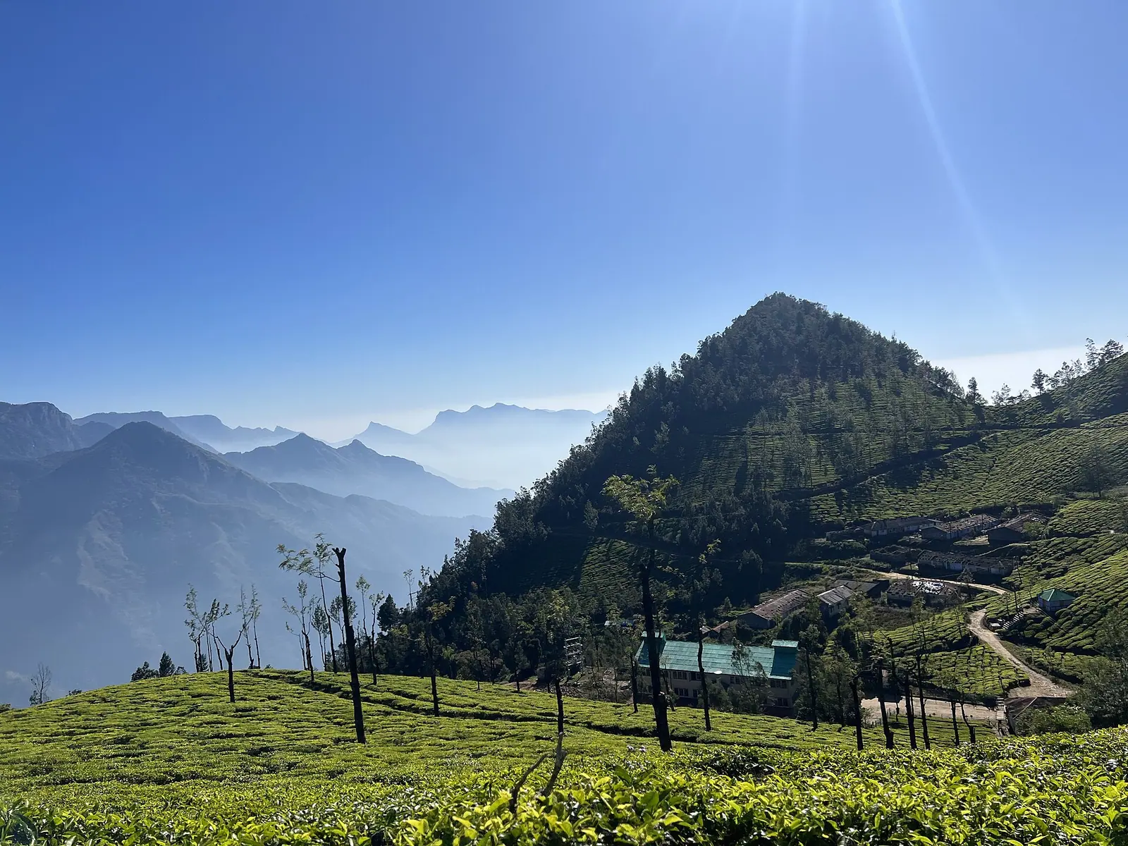 Kolukkumalai, Idukki