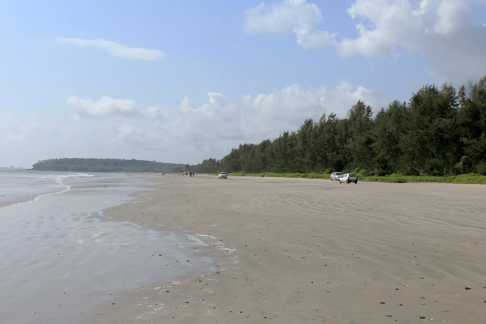 Muzhappilangad Drive-in Beach, Kannur