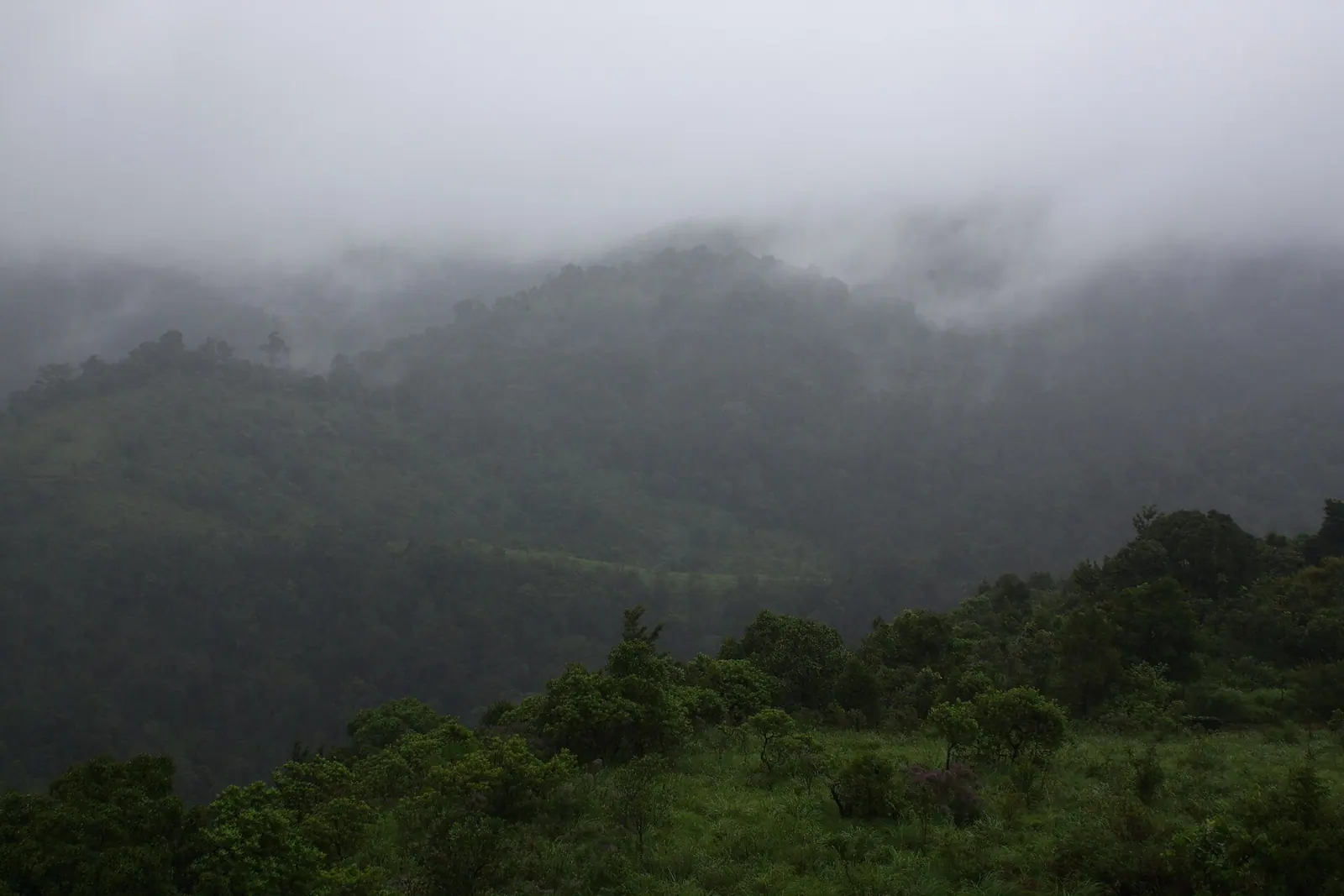 Silent Valley National Park, Palakkad